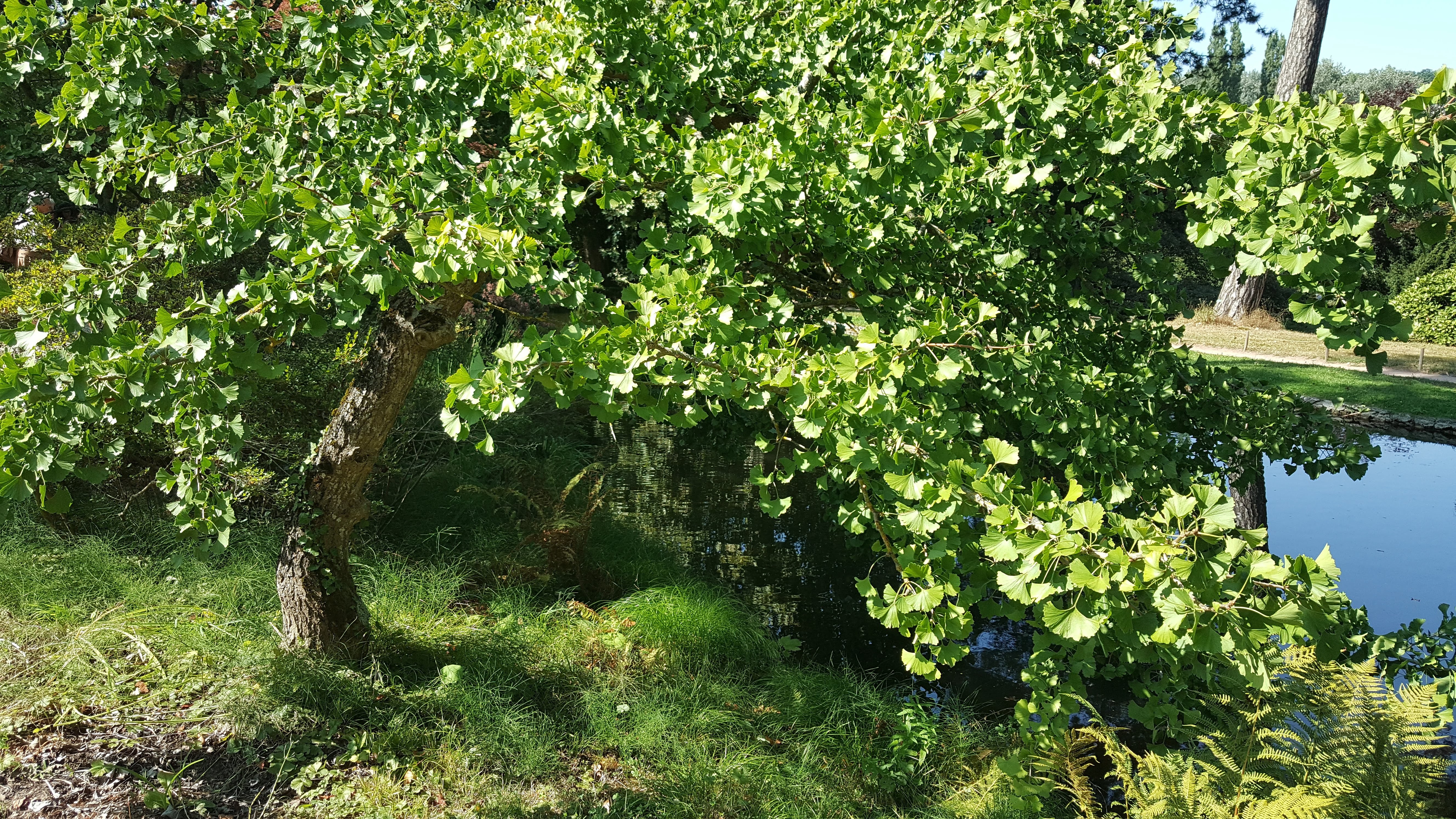 Photo n° 2 de l'avis de Malou.r fait le 02/09/2018 à 18:23