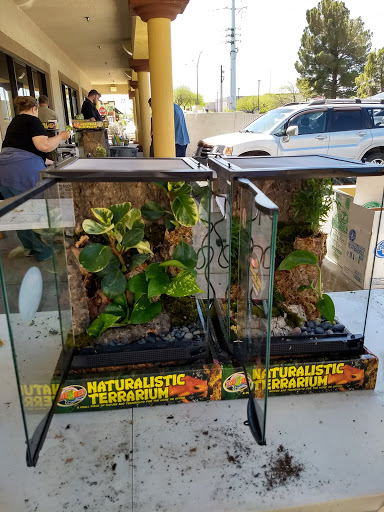Reptile Store «LLLReptile & Supply Las Vegas», reviews and photos, 8450 W Sahara Ave #105, Las Vegas, NV 89117, USA