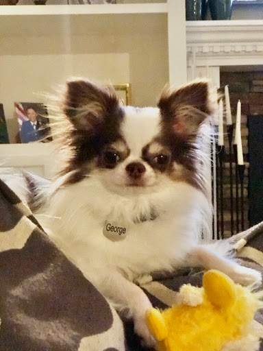 Breckenridge Veterinary image