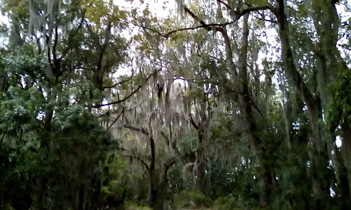 Golf Course «Sanlan Golf Course», reviews and photos, 2505 Sanlan Golf Dr, Lakeland, FL 33812, USA