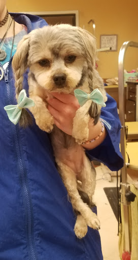 Pet Supply Store «PetSmart», reviews and photos, 1125 Hover St, Longmont, CO 80501, USA