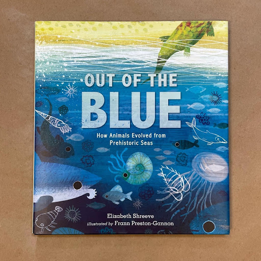 Book Store «Content Bookstore», reviews and photos, 314 Division St S, Northfield, MN 55057, USA