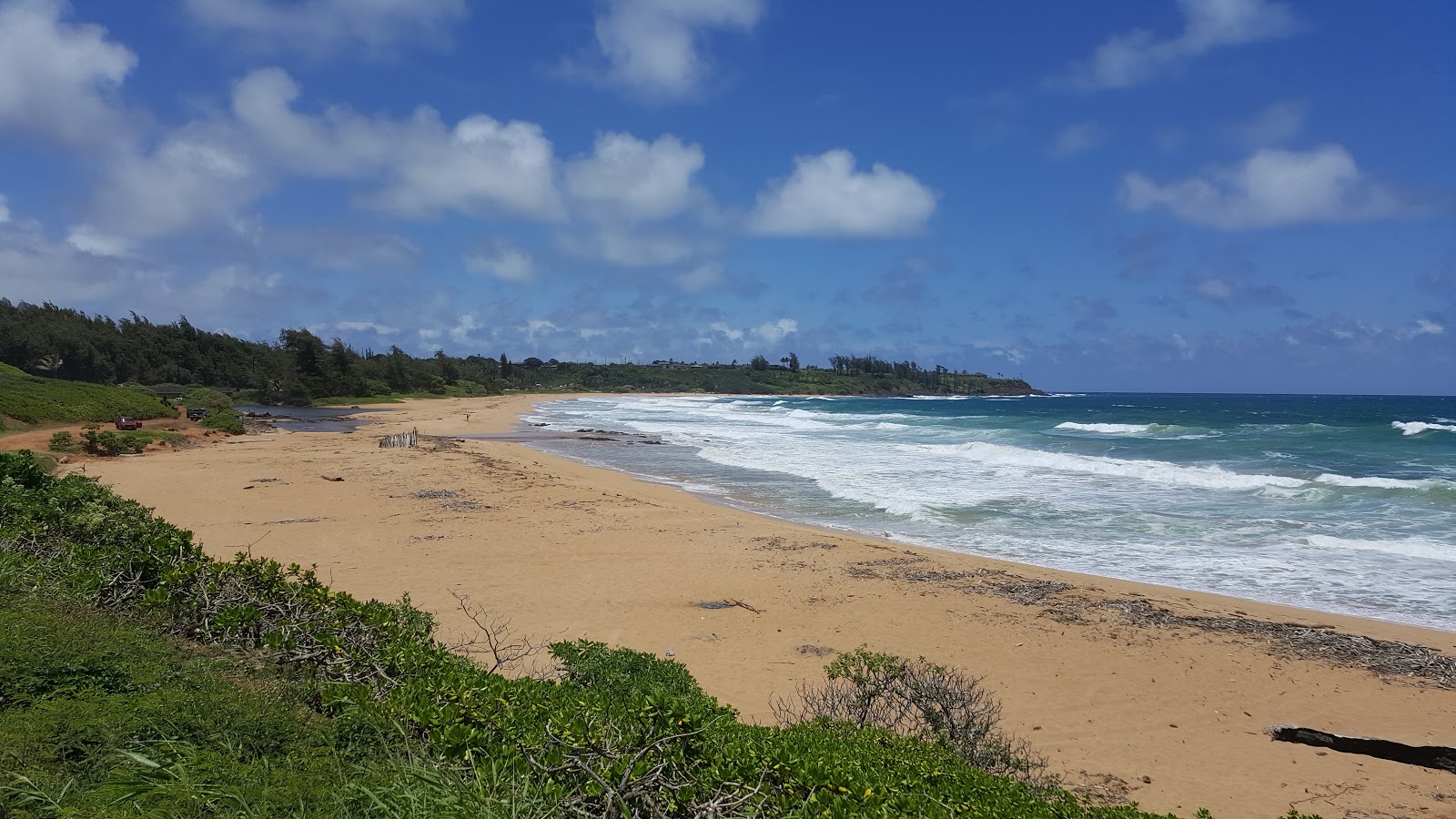 Foto de Kealia Beach respaldado por acantilados