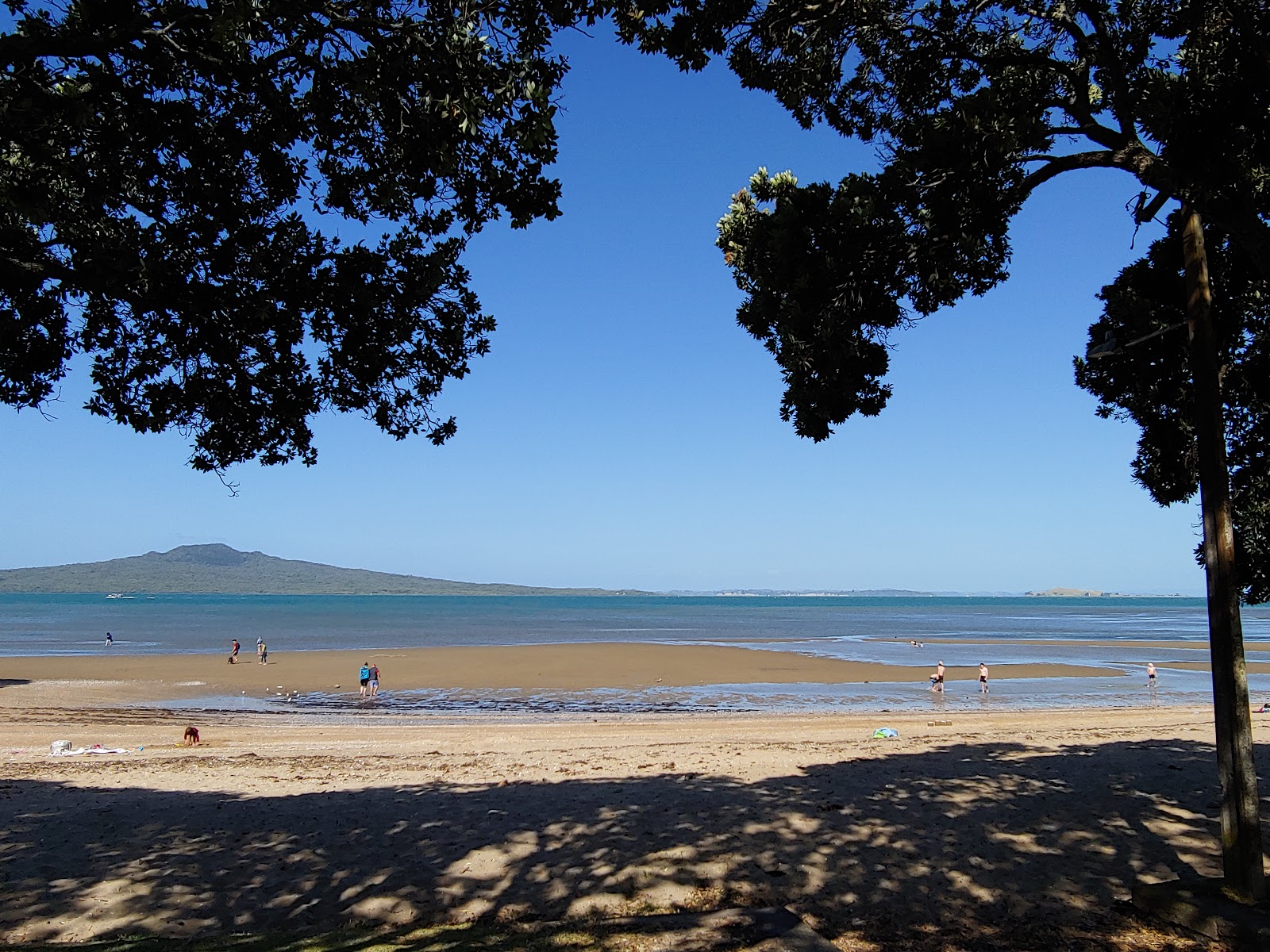 Cheltenham Beach photo #9