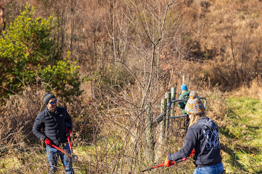 Real Estate Agency «Mosaic Community Lifestyle Realty», reviews and photos, 60 Biltmore Ave, Asheville, NC 28801, USA