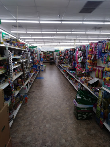 Dollar Store «Dollar Tree», reviews and photos, 11337 Tara Blvd, Hampton, GA 30228, USA