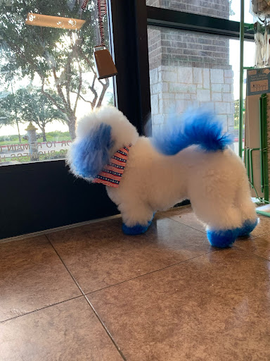 Pet Purr-Fection All Breed Pet Spa And Boutique