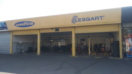 Neumáticos Rosario Lesgart