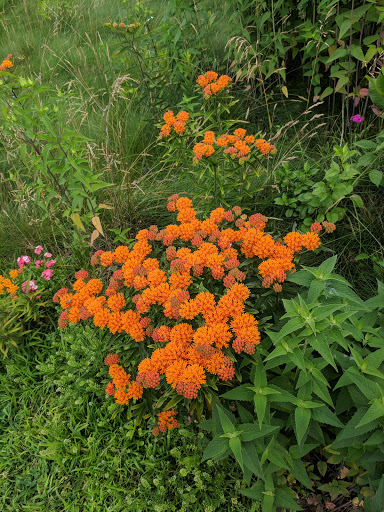 Park «Saddle River Park», reviews and photos, Dunkerhook Rd, Paramus, NJ 07652, USA