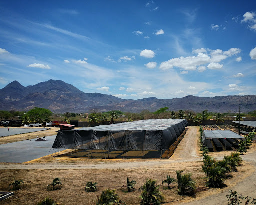 Coffee Shop «Carabello Coffee Company», reviews and photos, 107 E 9th St, Newport, KY 41071, USA