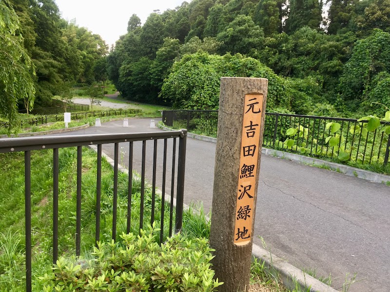 元吉田鯉沢緑地