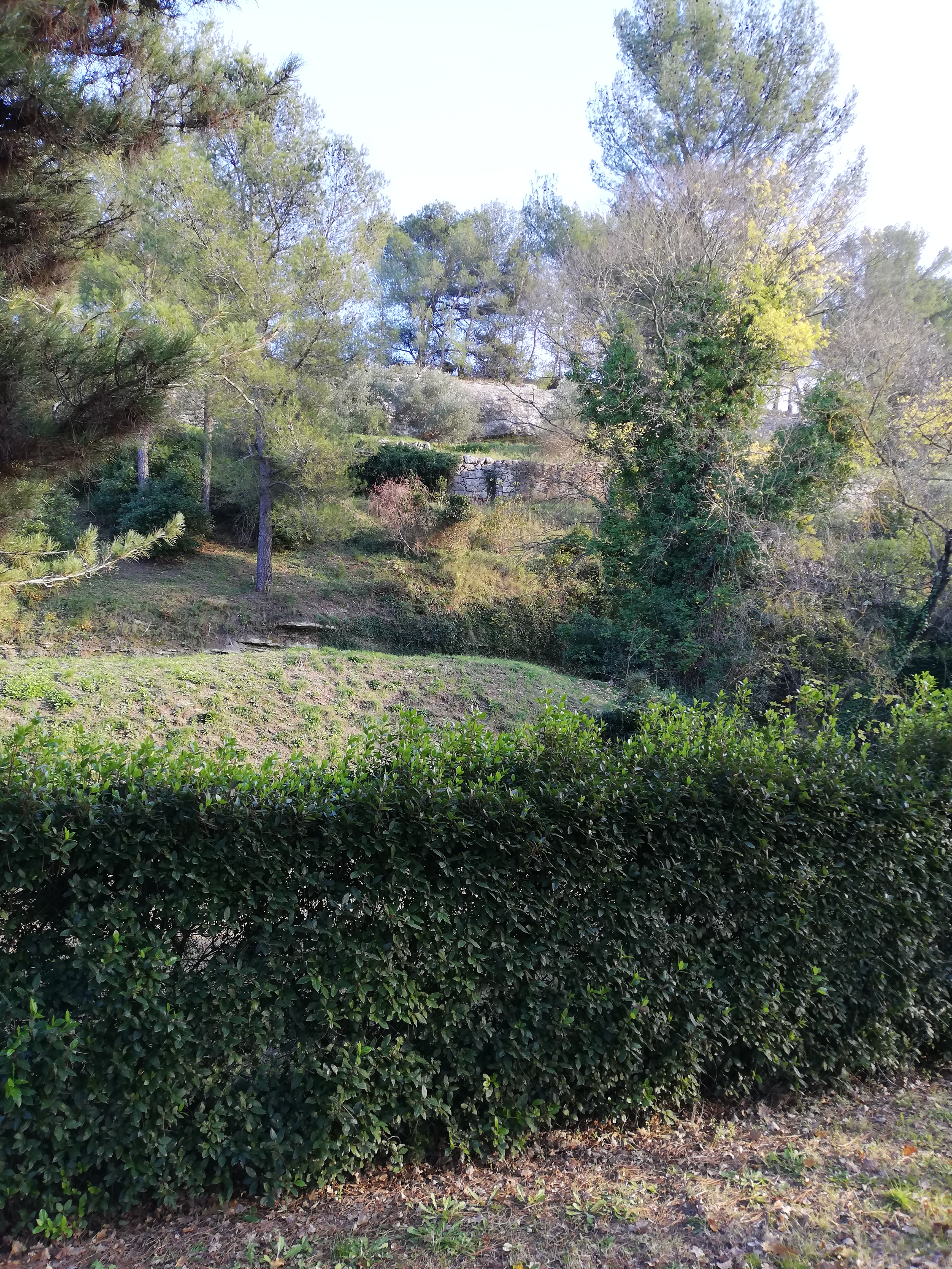 Photo n° 18 de l'avis de Oscéla.l fait le 23/11/2021 à 18:15