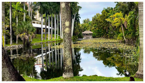 Museum «Bonnet House Museum & Gardens», reviews and photos, 900 N Birch Rd, Fort Lauderdale, FL 33304, USA