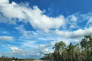 Picayune Strand State Forest image
