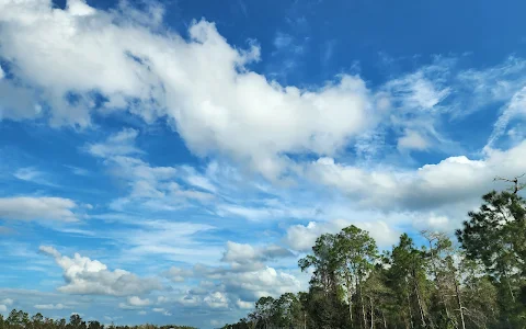 Picayune Strand State Forest image