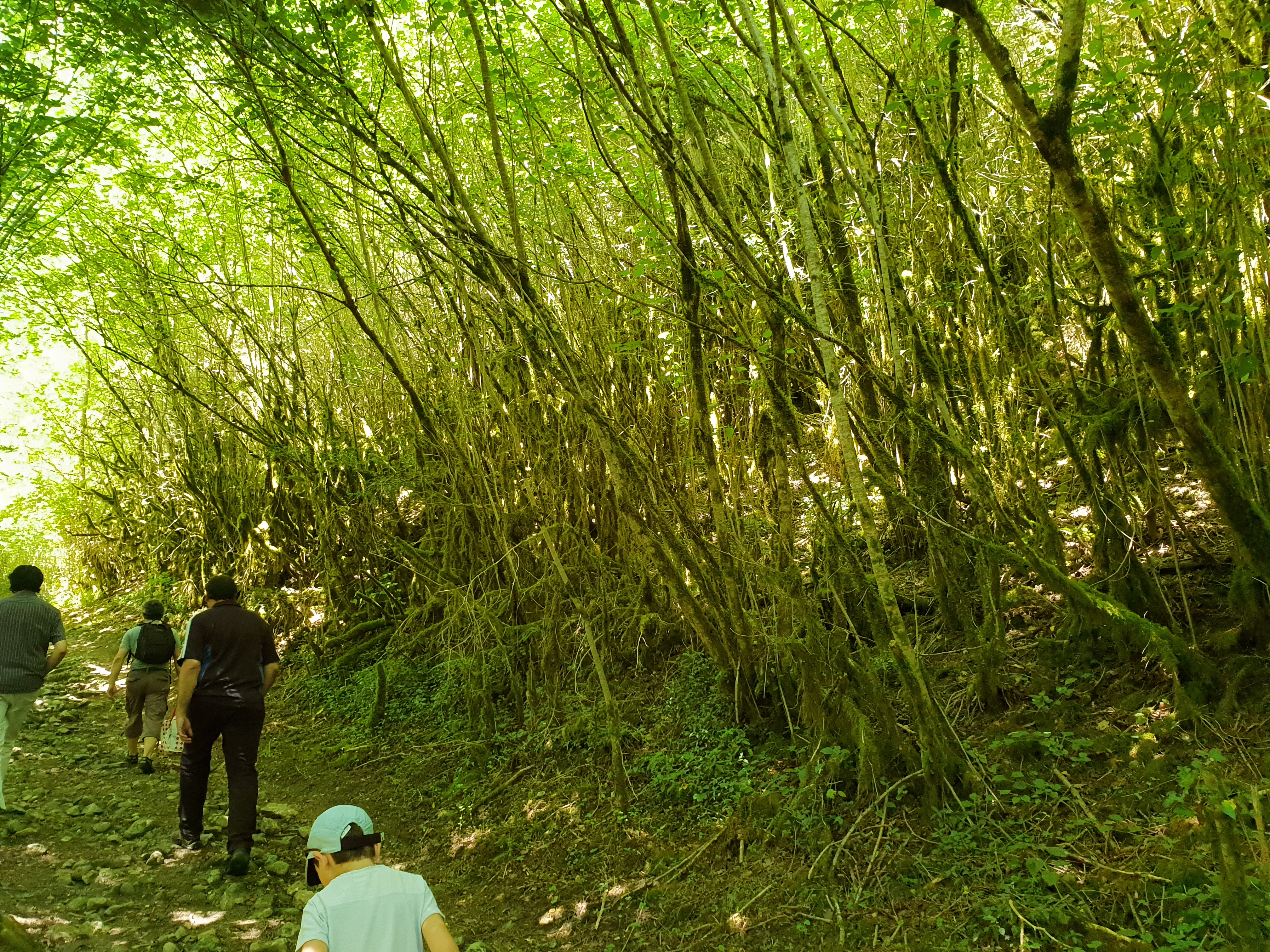 Photo n° 6 de l'avis de Sandrine.e fait le 21/08/2019 à 12:56