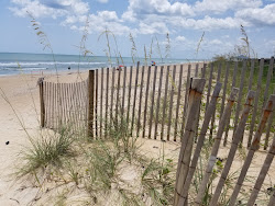 Photo de Flagler beach situé dans une zone naturelle