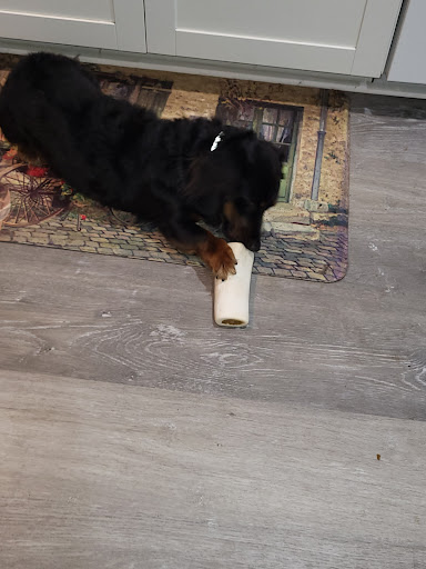 Pet Supply Store «Petco Animal Supplies», reviews and photos, 7223 Coastal Blvd, Brooksville, FL 34613, USA