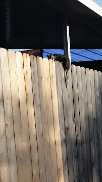 Mark'sTire Shop and Muffler LLC - Photo 4 - Car repair in New Orleans, LA, New Orleans