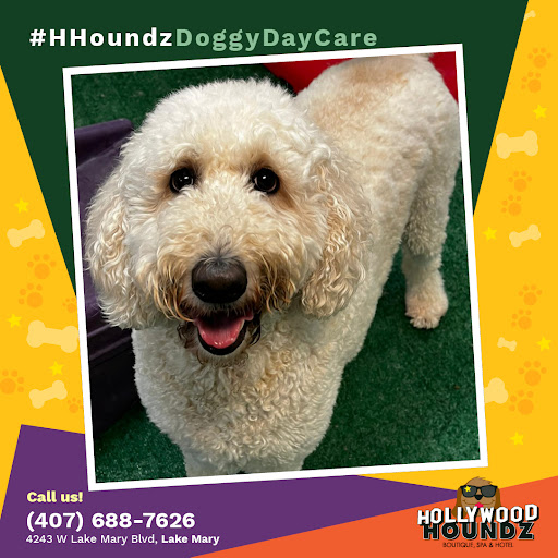 Pet Groomer «Hollywood Houndz Boutique, Spa & Hotel», reviews and photos, 4243 W Lake Mary Blvd, Lake Mary, FL 32746, USA