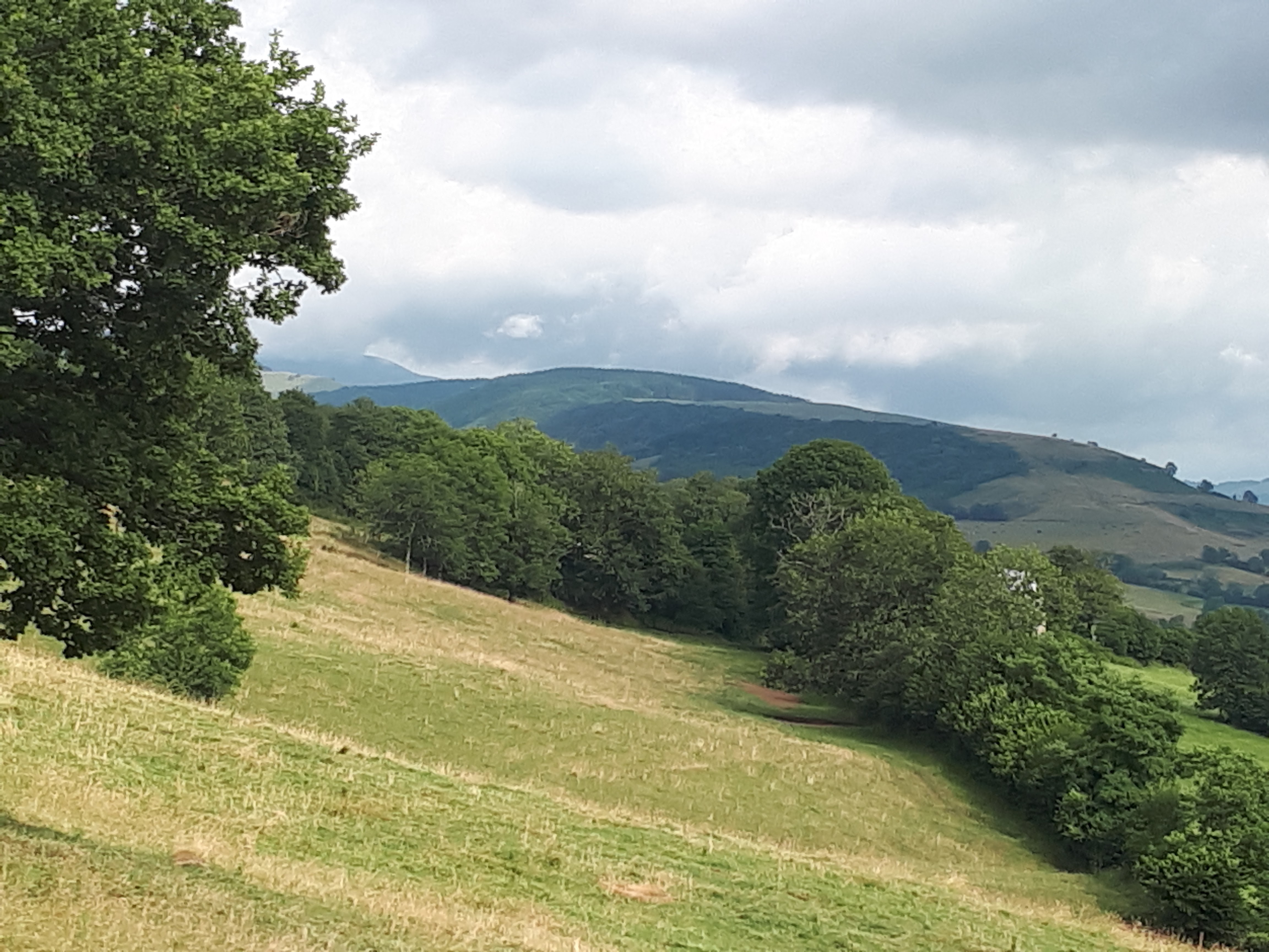 Photo n° 2 de l'avis de Delphine. fait le 22/07/2018 à 17:56