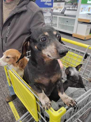 Electronics Store «Best Buy», reviews and photos, 3140 Evans St, Greenville, NC 27834, USA