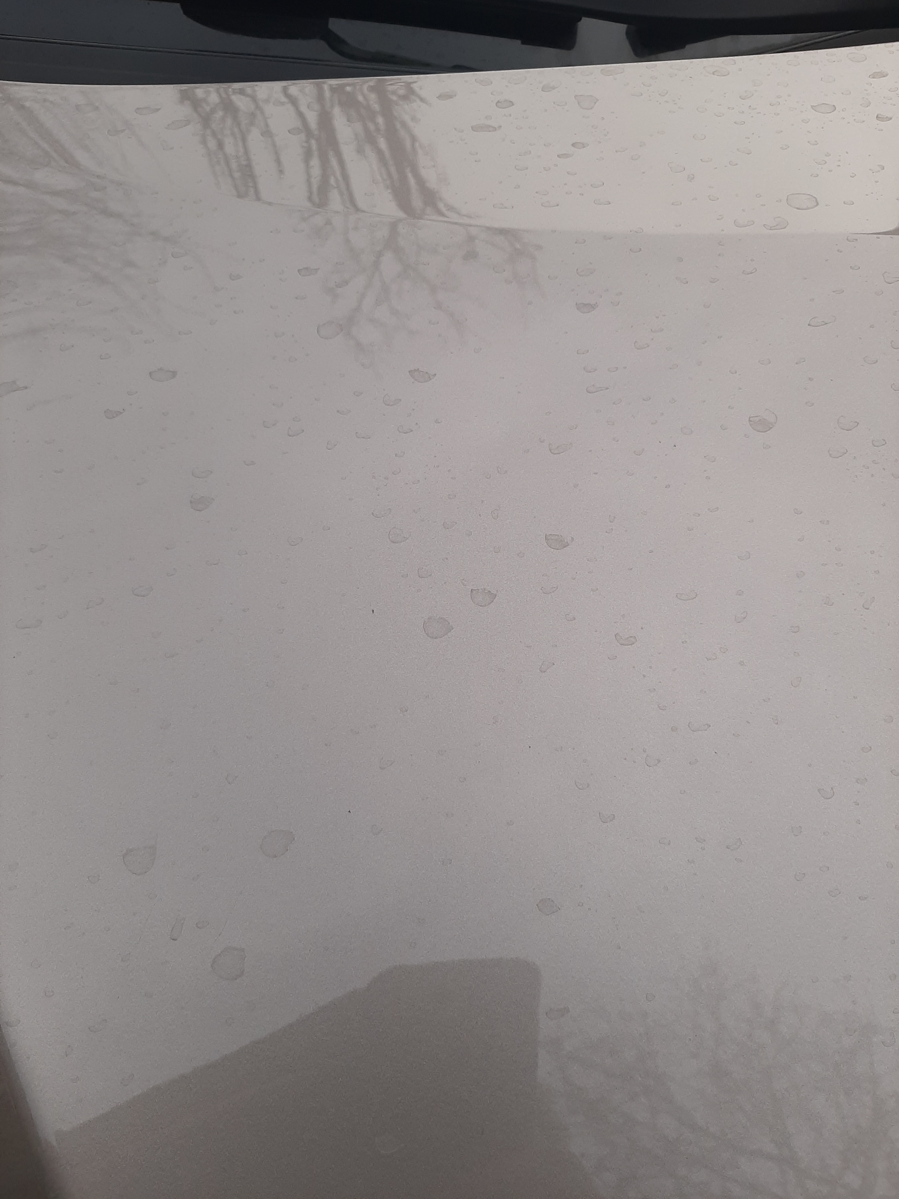 Photo n° 2 de l'avis de William.e fait le 25/02/2021 à 14:34