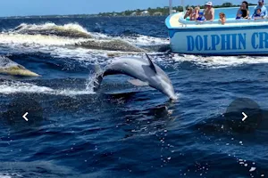 Surf's Up Dolphin Cruises image