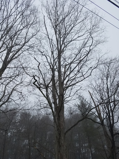 Golf Course «Bangor Municipal Golf Course», reviews and photos, 278 Webster Ave, Bangor, ME 04401, USA