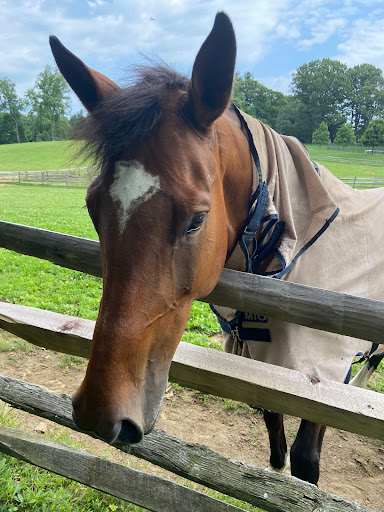 Golf Club «Vicmead Hunt Club», reviews and photos, 903 Owls Nest Rd, Wilmington, DE 19807, USA