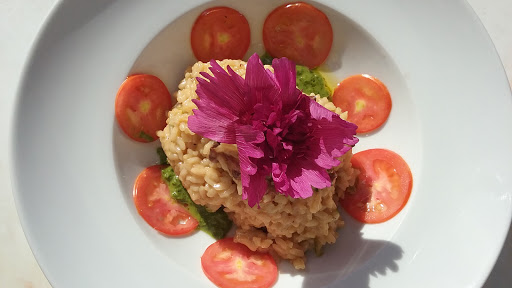 Wine Store «Brown Jug Wine Shop», reviews and photos, 1 Jarves St, Sandwich, MA 02563, USA