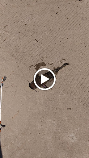 Dollar Store «FAMILY DOLLAR», reviews and photos, 725 E 2nd St, Muscatine, IA 52761, USA