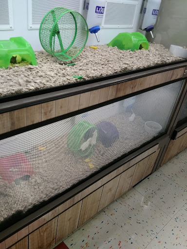 Pet Supply Store «Petco Animal Supplies», reviews and photos, 325 Paul Huff Parkway, Cleveland, TN 37312, USA