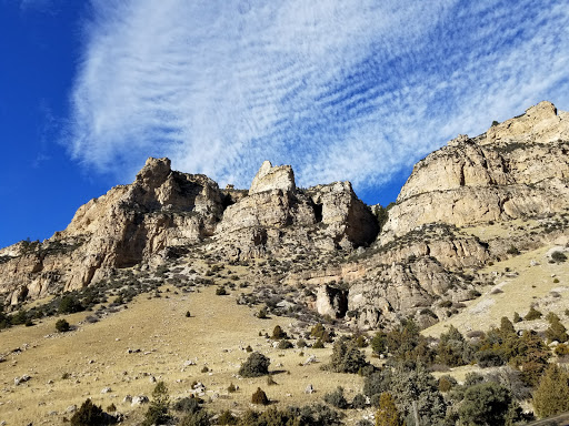 National Forest «Bighorn National Forest», reviews and photos