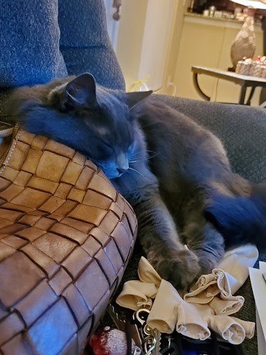 Pet Supply Store «PetSmart», reviews and photos, 2901 Agua Fria Fwy, Phoenix, AZ 85027, USA