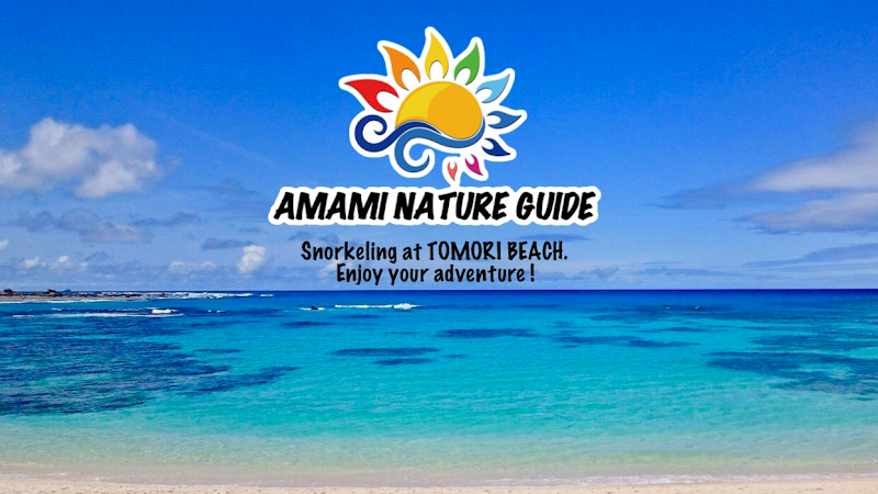 奄美ネイチャーガイド・シュノーケル・カヌー・ナイトツアー・Amami Nature Guide