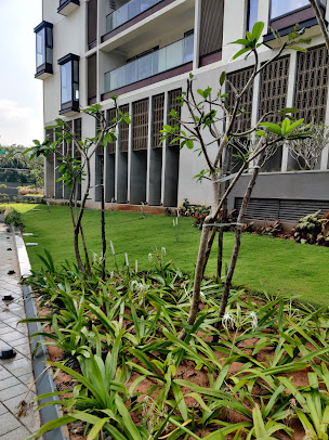 Google Maps image 19