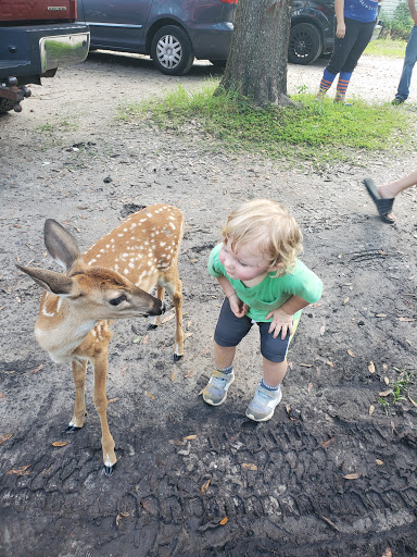 Animal Rescue Service «Nanny’s Educational Zoo And Rescue», reviews and photos, 1139 Livingston Rd, Lutz, FL 33559, USA