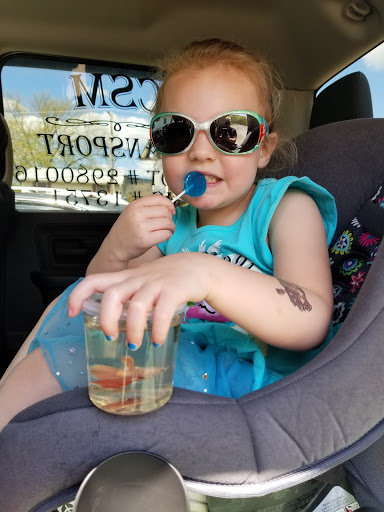 Pet Supply Store «Thunder Valley Pet Pantry», reviews and photos, 692 Main St, Hallstead, PA 18822, USA