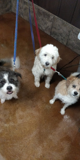 Pet Supply Store «Pet Food Plus», reviews and photos, 2819 E Hamilton Ave, Eau Claire, WI 54701, USA