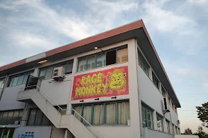Rage Monkey image