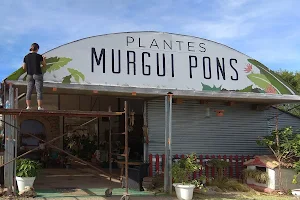 Plantes Murgui Pons image