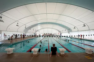 Canberra Olympic Pool image