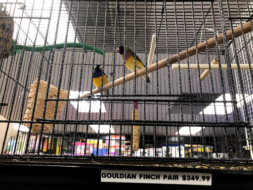 Pet Supply Store «Pets Plus», reviews and photos, 123 Nashua Rd #7, Londonderry, NH 03053, USA