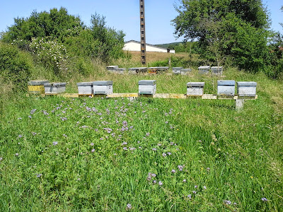 La Maison Des Abeilles de Maxime à Genevrières