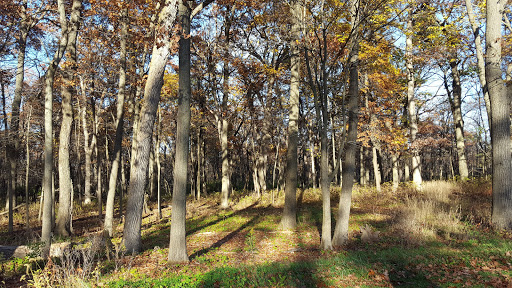 Nature Preserve «St. James Farm Forest Preserve», reviews and photos, 2S541 Winfield Rd, Warrenville, IL 60555, USA