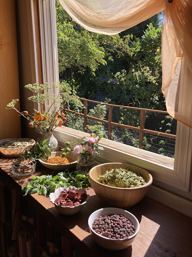 Berkeley Herbal Center