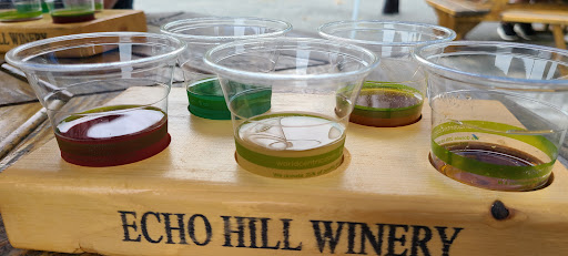 Winery «Echo Hill Orchards & Winery», reviews and photos, 101 Wilbraham Rd, Monson, MA 01057, USA