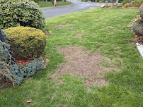 TruGreen Lawn Care - Photo 2 - Car repair in Chelmsford, MA, Nashua