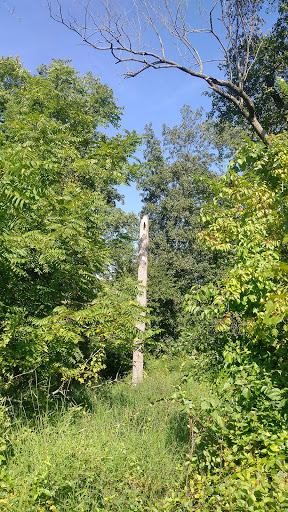 Public Golf Course «Bunker Hill Golf Course», reviews and photos, 220 Bunker Hill Rd, Princeton, NJ 08540, USA